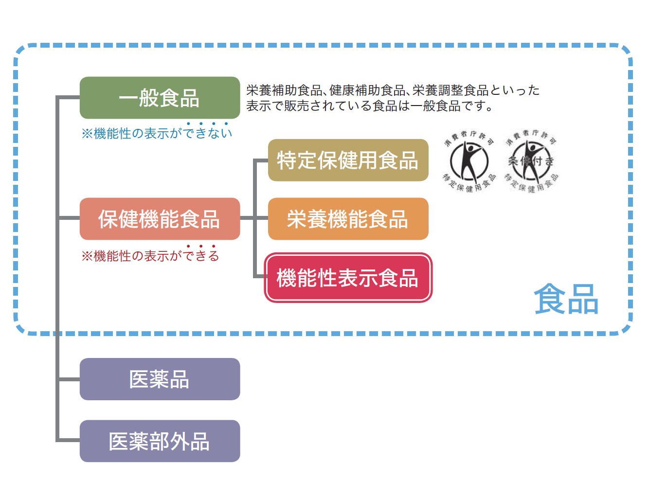 妊活食べ物Ｑ＆Ａ    機能性表示食品