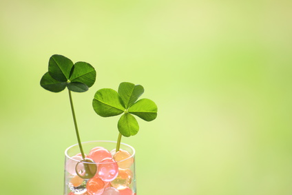 精子の質を良くするには…