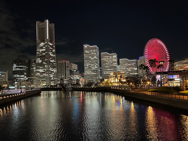 第23回日本生殖心理学会・学術集会に参加しました