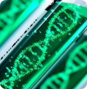 ERA(子宮内膜着床能検査)について