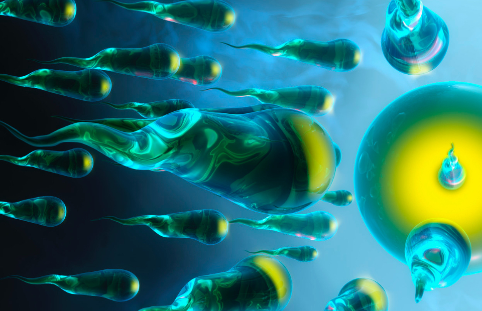 人工授精について