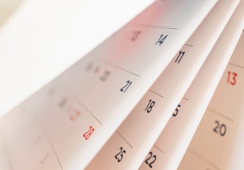 希望日に予約します