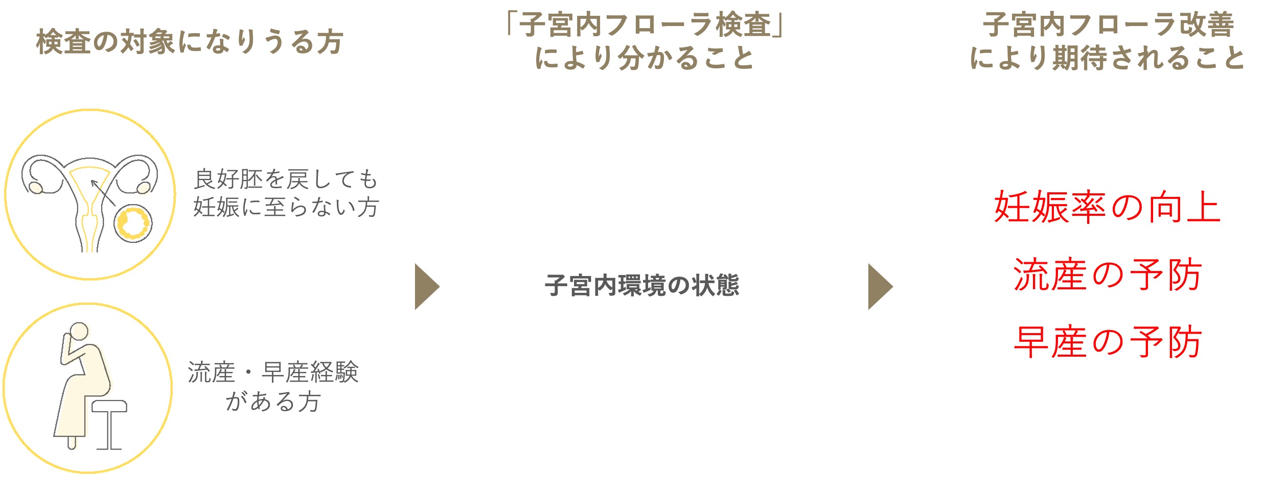 子宮内フローラについて
