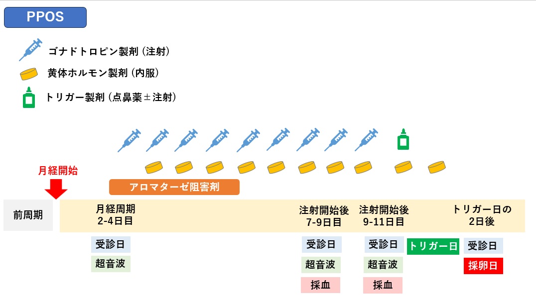 PPOS法の具体例